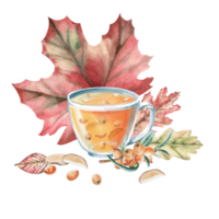 Composition of a cup with sea buckthorn-ginger tea and autumn leaves. Isolated watercolor illustration of a warming drink for the design of a seasonal menu in a cafes printing on postcards,posters. png