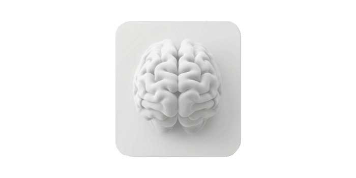 3d cérebro modelo quadrado plataforma. simboliza inteligência e cognitivo função isolado em transparente fundo png