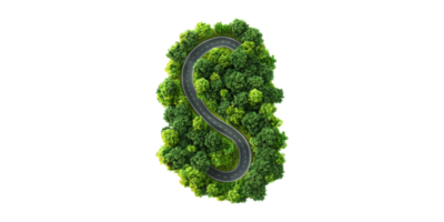 Winding Road Through Lush Green Forest. Nature And Travel Concept Isolated On Transparent Background png