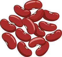 Red kidney beans illustration with glossy surface and natural kidney shape for food and cooking designs vector