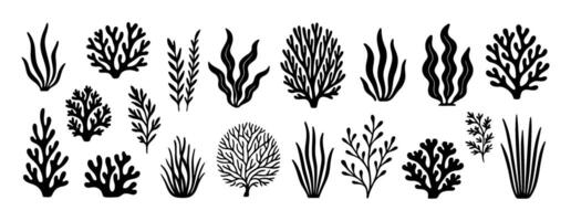 Algae black and white icon set clean line art, doodle style. Marine plants, seaweed. Ideal for logo, tattoo, app, coloring book, web design, infographics, banner, poster, and more. illustration vector