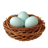 Nest Containing Blue Eggs in a Natural Woven Basket png
