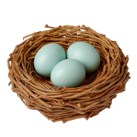 Three Light Blue Eggs Nestled in Twisted Brown Branches png
