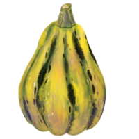 Hand drawn autumn illustration with a cozy warm yellow pumpkin with realistic texture and subtle highlights. Perfect for seasonal designs, harvest themes, Thanksgiving, and fall decor. png