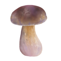 Hand painted illustration of an edible forest bolete mushroom with a thick stem and round brownish purple cap. Perfect for botanical collections, forest themed designs, food packaging. png