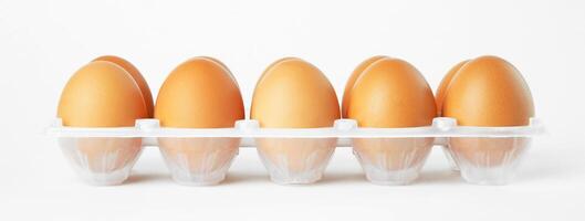 eggs in the package photo