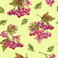 Watercolor grapes pattern design vector