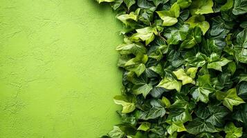 Liriodendron on a vibrant background, top view photorealistic plant photo