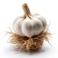 Roots Attached Garlic Angled Front View Photo on White Background