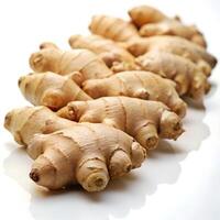 Ginger Lined Angled Front View Photo on White Background