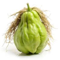 Roots Attached Chayote Angled Front View Photo on White Background