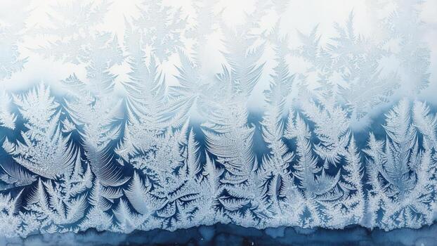 Frost patterns on glass forming stylized fir trees against a dark background. Crisp winter nature photo