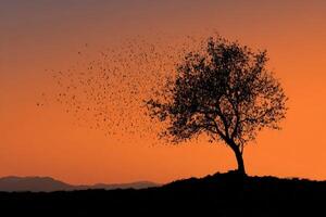 Mysterious silhouette of a tree at dusk with birds dispersing across an orange sky photo