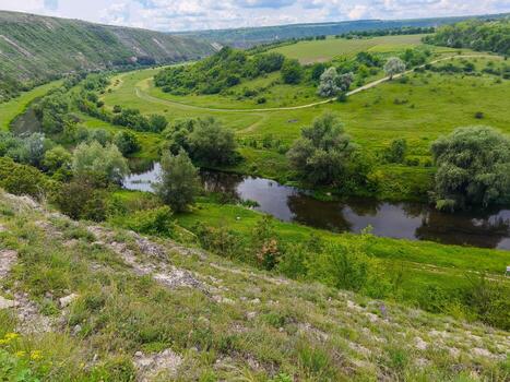 A lush green valley with a river running through it. The river is calm and peaceful, and the surrounding trees and grass create a serene atmosphere photo