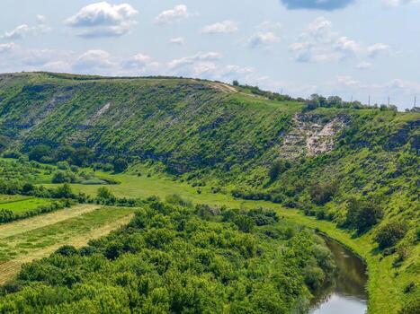 A lush green hillside with a river running through it. The river is surrounded by trees and the hillside is covered in grass. The scene is peaceful and serene photo