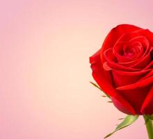 A stunning, high-resolution digital painting of a vibrant red rose, showcasing ultra-detailed textures. The photorealistic depiction highlights the delicate petals and rich color of the rose. photo