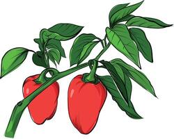 Red bell peppers on plant branch illustration vector