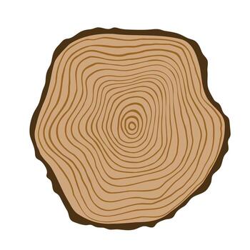 Tree ring simple flat illustration, wood slice with pattern vector