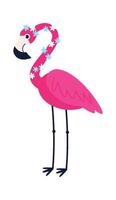 Flamingo character Long legs bird vector