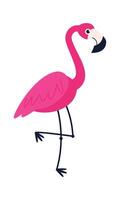 Flamingo character Long legs bird Flat Illustration vector