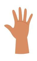 Adult hand showing palm vector