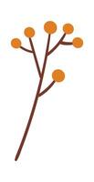 Flower inflorescence Decor for bouquet Illustration vector