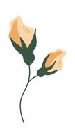 Decorative rose for bouquet vector