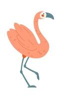 Flamingo Bird Standing on one leg Flat Illustration vector