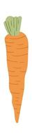 Carrot Vegetable Icon vector