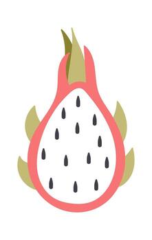 pitaya continuar Fruta vector