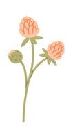 Wildflowers With Leaves Flat Illustration Icon vector