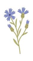 Wildflowers With Leaves Hand Drawn vector