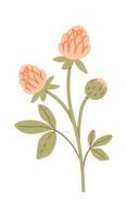 Wildflowers With Leaves Hand Drawn Icon vector