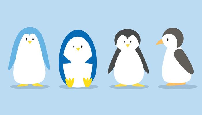 Set of cute penguin cartoon for kid, zoo, element and illustration. Character design
