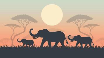 Elephants Walking in African Savannah at Sunset Flat Illustration. vector