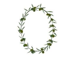 green olive creeping on oval shape frame background vector