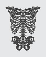 Ribs chest bone anatomy skeleton clip art illustration t shirt, sticker, tattoo, poster design editable vector