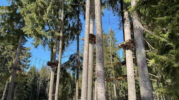 A group of people on a zip line in the woods video
