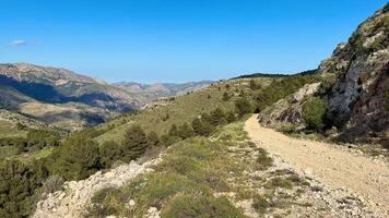 A dirt road in the mountains with trees and mountains video
