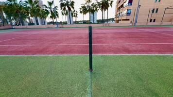 A scenic tennis court is surrounded by tall palm trees, with vibrant red artificial turf ideal for play video