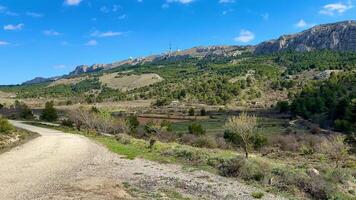A dirt road in the mountains with trees and grass video
