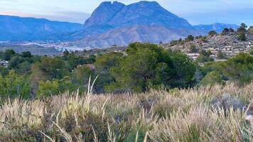 A mountain range with grass and trees in the foreground video