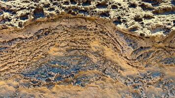 A close up of the surface of a rock video