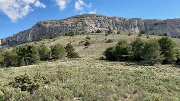 A mountain with trees and grass on top video