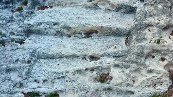 A close up of a rock wall with holes in it video