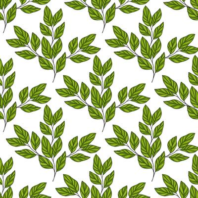 A seamless pattern featuring green leaves on a white background, showcasing various leaf shapes and sizes, ideal for textile or wallpaper design.