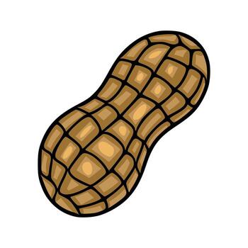 un detallado ilustración de un soltero maní en sus caparazón, exhibiendo un único texturizado modelo con marrón y beige matices, aislado en un blanco antecedentes. vector