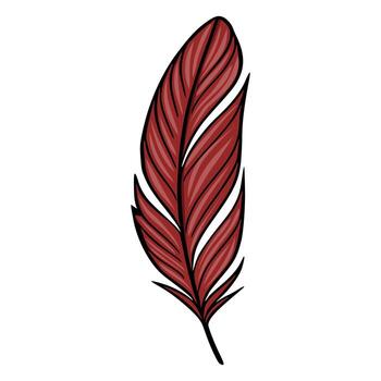 ilustración de un soltero estilizado oscuro rojo pluma con detallado líneas, aislado en blanco fondo, Perfecto para diseño proyectos necesitando un toque de naturaleza. vector