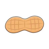 illustration of a Peanut vector