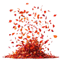 Dynamic Explosion of Autumn Leaves in Mid-Air with Rich Seasonal Colors Isolated on Transparent Background png